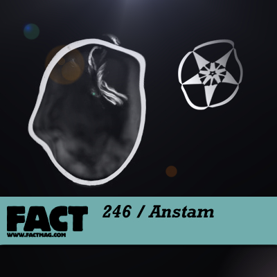 FACT mix 246 by Anstam