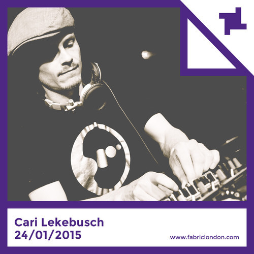 Cari Lekebusch fabric Promo Mix 2015-01-07