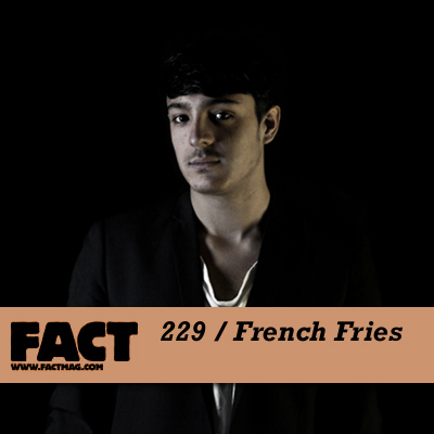 FACT mix 229 by French Fries